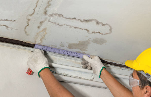 Reliable Mold Remediation contractor in Stratham, NH by Local Water Damage Repair